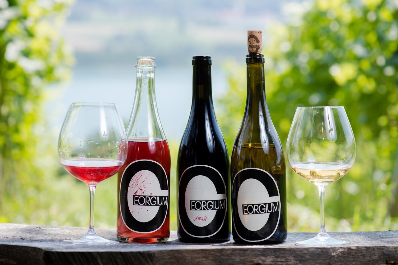 Weingut Georgium Panzió Sankt Georgen am Längsee Kültér fotó